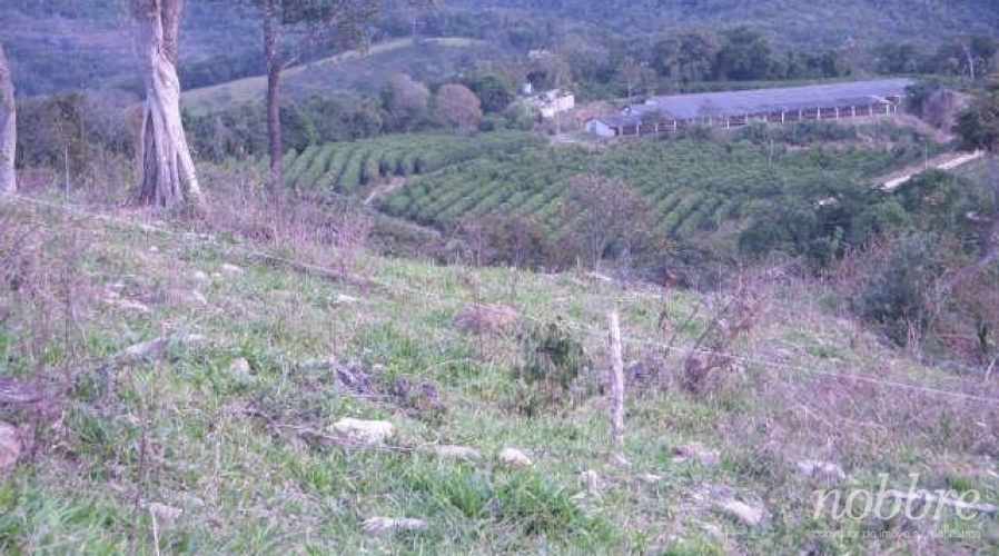 Fazenda produtora de café para vender em Minas Gerais